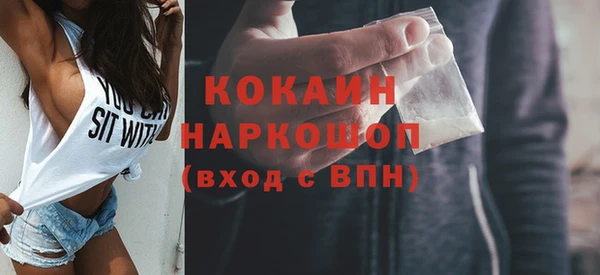 ECSTASY Богданович