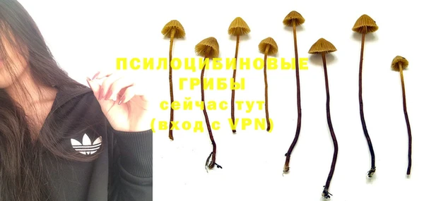 мдма Богородицк