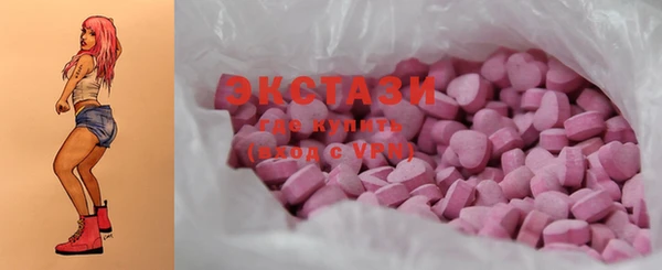 ECSTASY Богданович