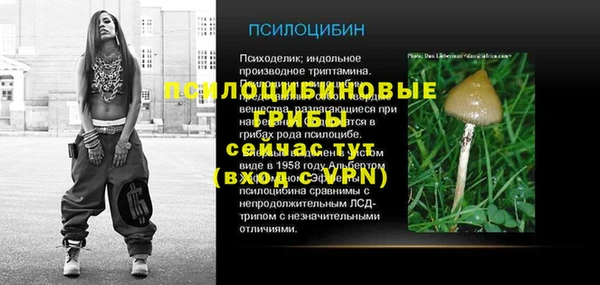 ECSTASY Богданович